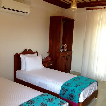 ホテル Mary's House 5*