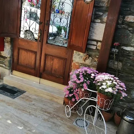 Mary's House 5*